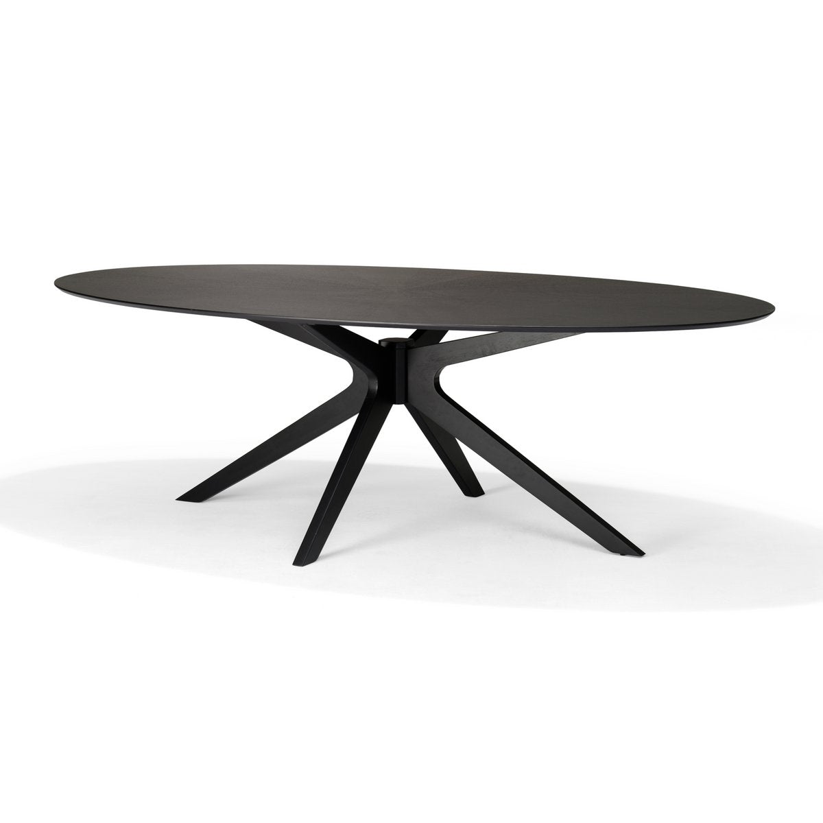 Salontafel Julia Ovaal Eiken Zwart - 120x70 cm