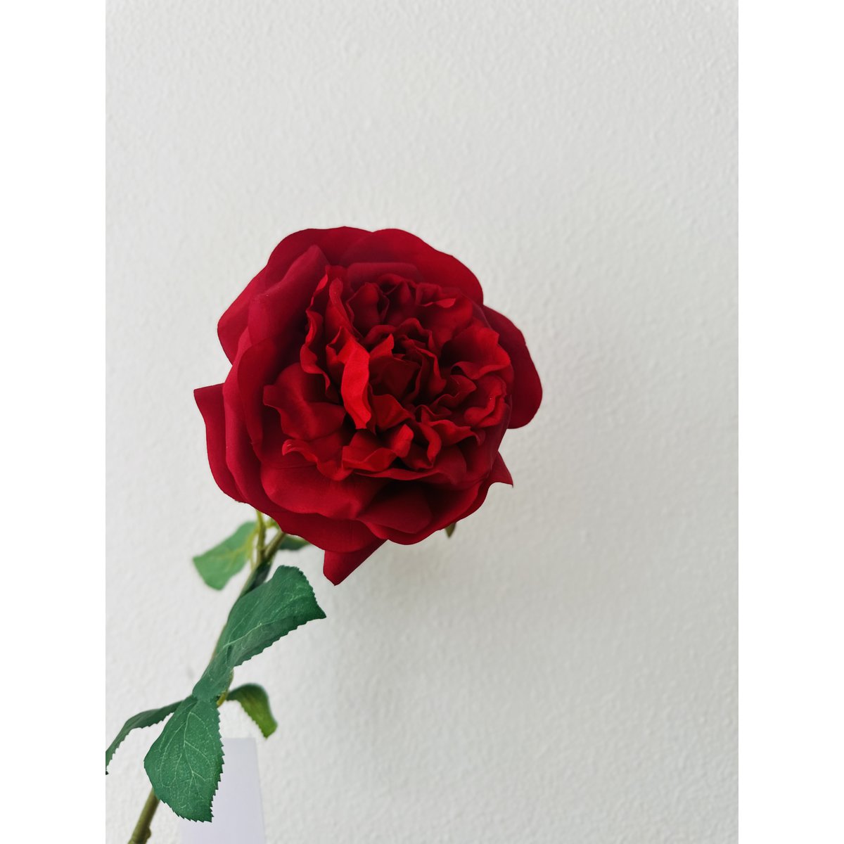 Zijden kunstbloem Hand touch rose rood - 65 cm