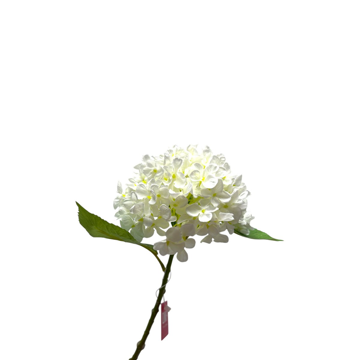 Zijden kunstbloem Hydrangea macrophylla wit - 50 cm
