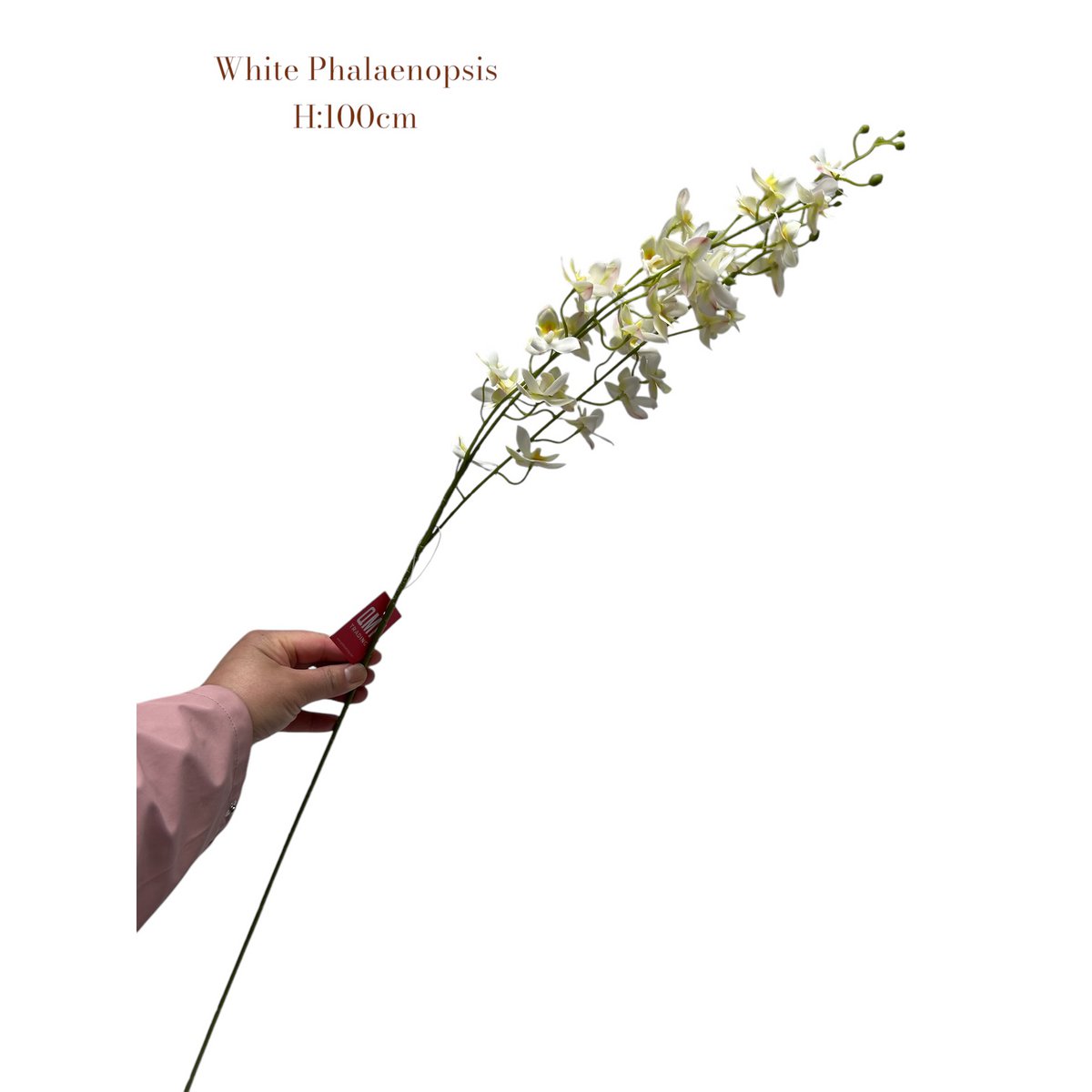 Zijden kunstbloem Phalaenopsis wit - 100 cm