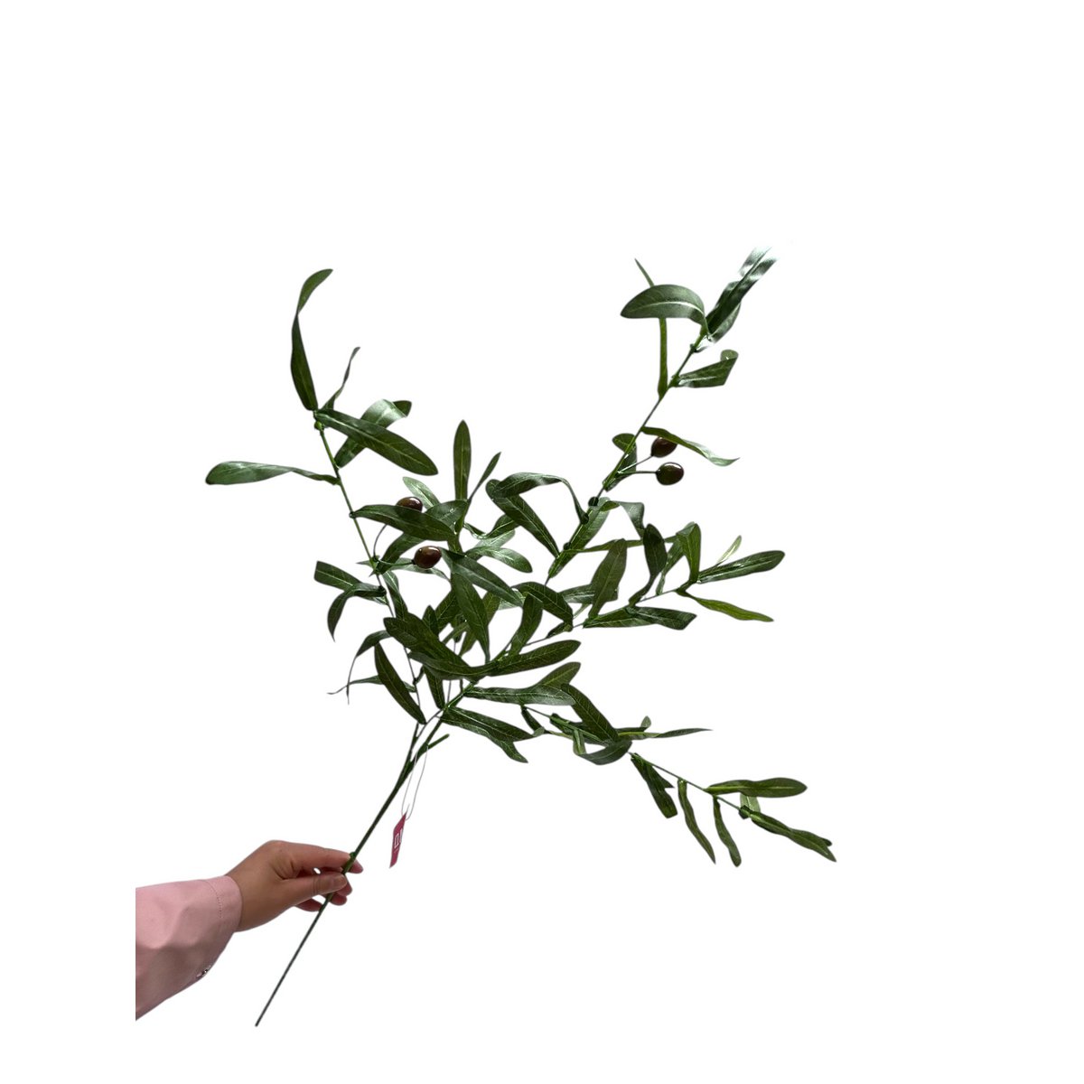 Zijden kunstbloem Canarium album - 75 cm