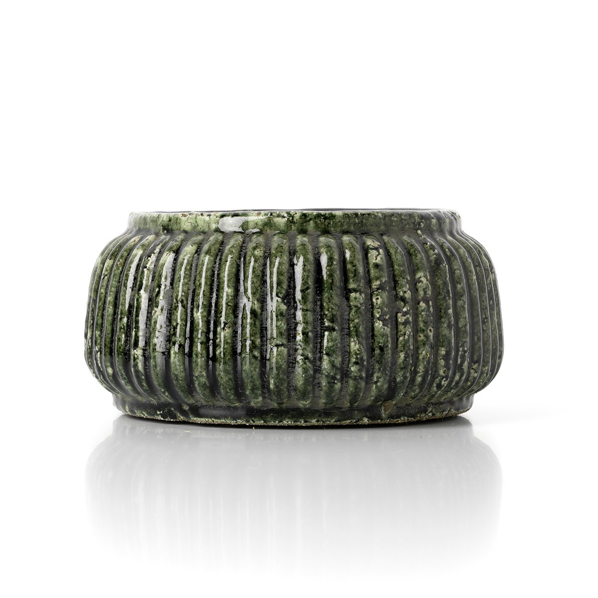 Geribbelde planter Forest bosgroen
