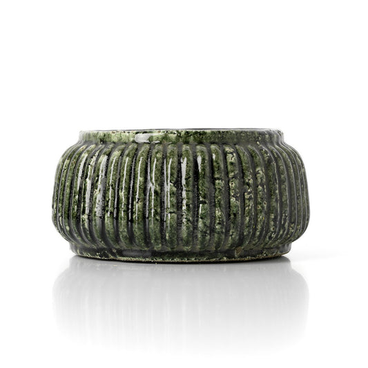 Geribbelde planter Forest bosgroen