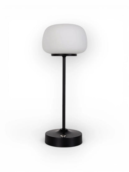 LED Acculamp Pina Zwart/Wit Glas - 30 cm