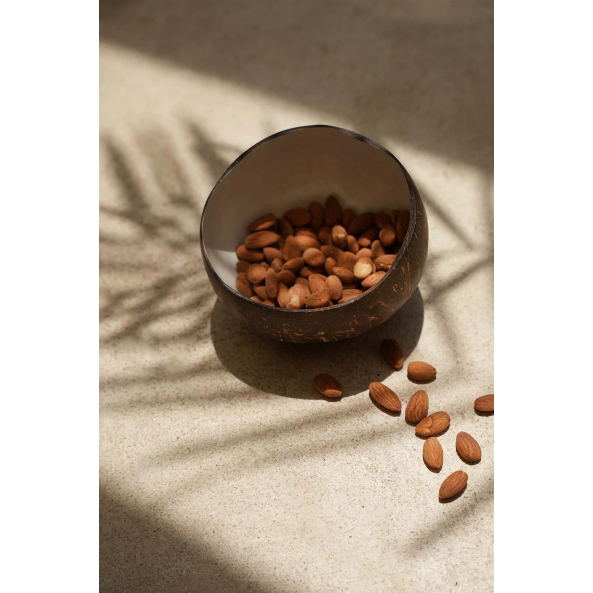 Kokosnoot voerbak Coco natuurlijk wit