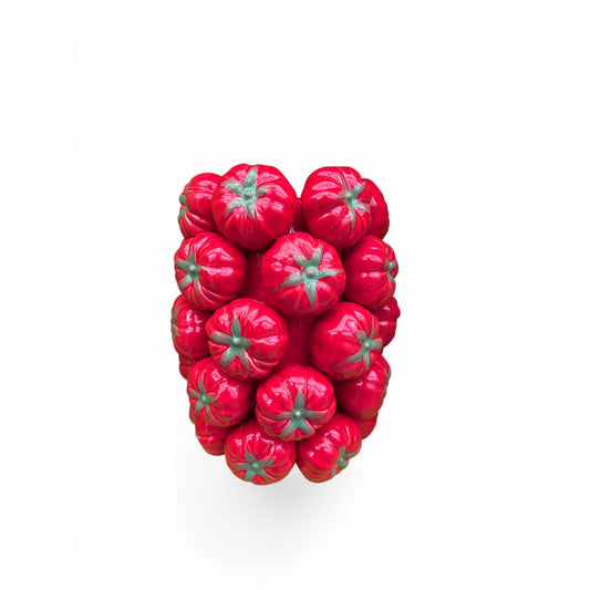 Porseleinen tomatenvaas rood