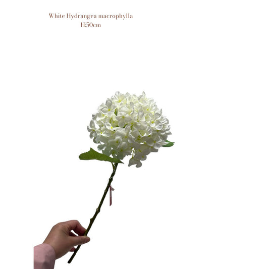 Zijden kunstbloem Hydrangea macrophylla wit - 50 cm
