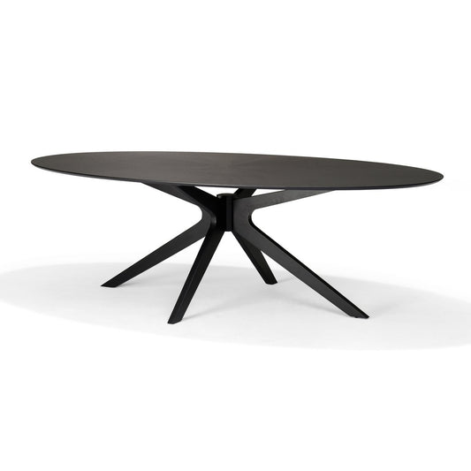Salontafel Julia Ovaal Eiken Zwart - 120x70 cm