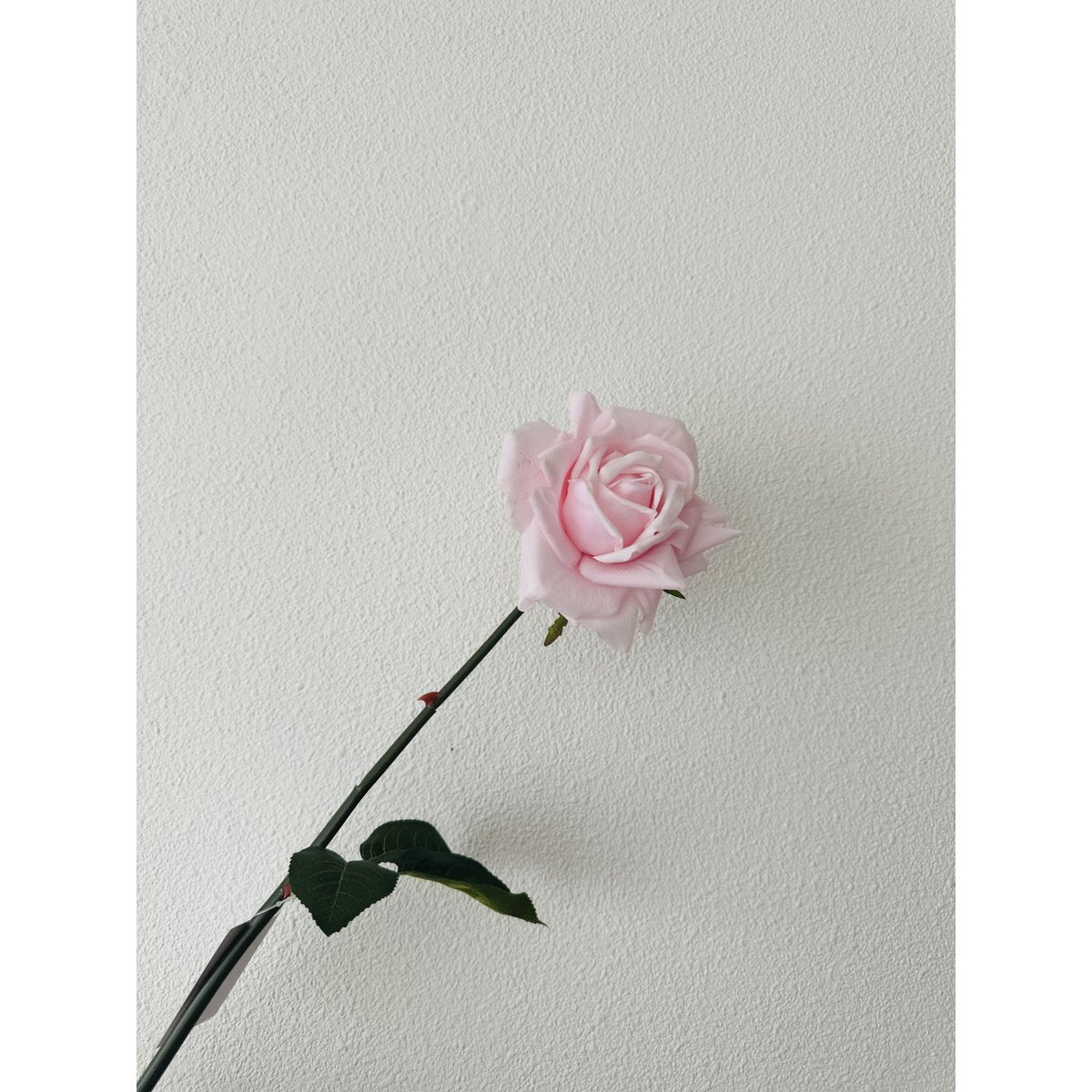 Kunstroos Hand touch rose lichtroze - 72 cm (set van 2)