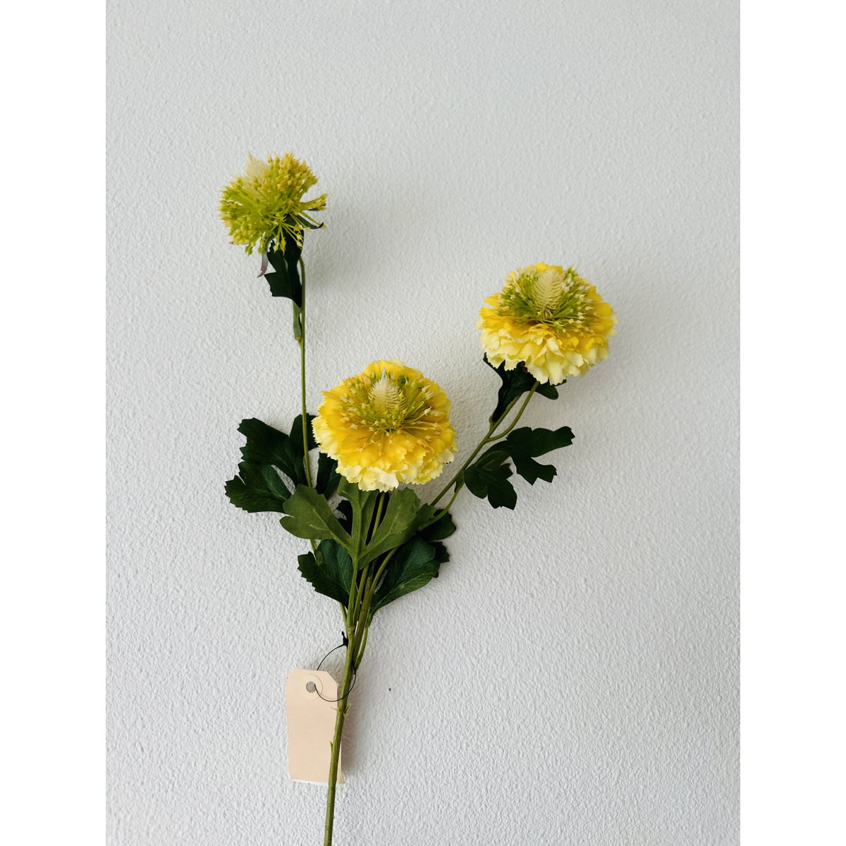 Zijden kunstbloem Scabiosa rood - 80 cm (Set van 2)