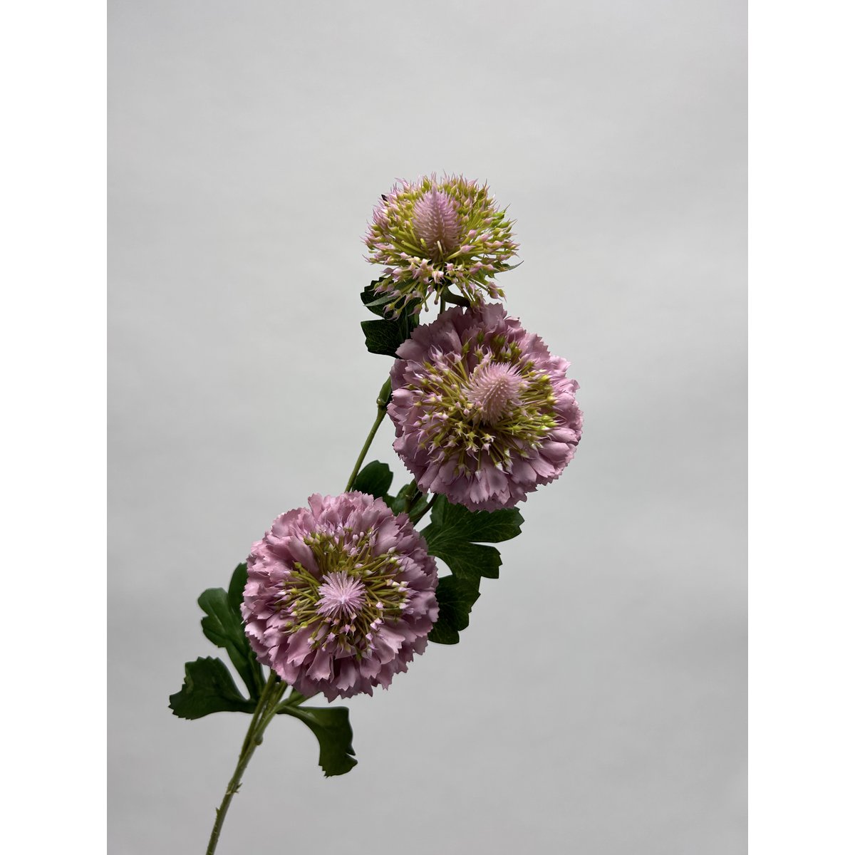 Zijden kunstbloem Scabiosa paars - 80 cm