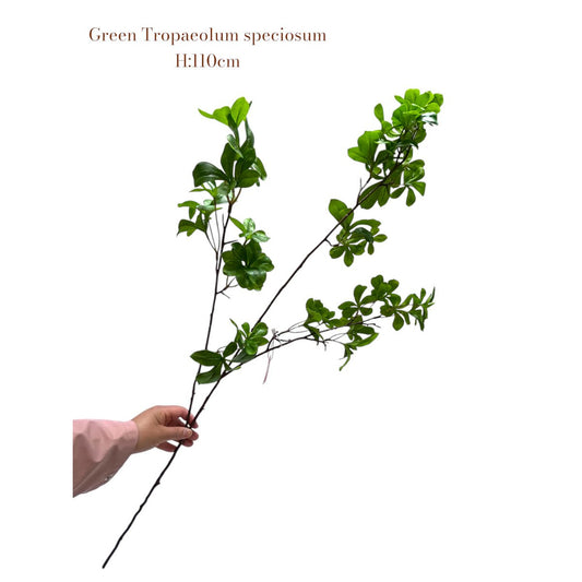 Zijden kunstbloem Tropaeolum speciosum groen - 110 cm