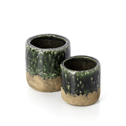 Steengoed mosplanter Moss planter betongroen