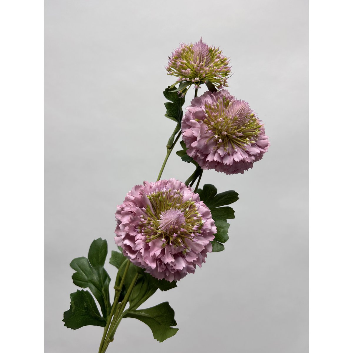 Zijden kunstbloem Scabiosa paars - 80 cm