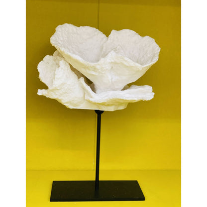 Koraal decoratie Koraal bloem wit