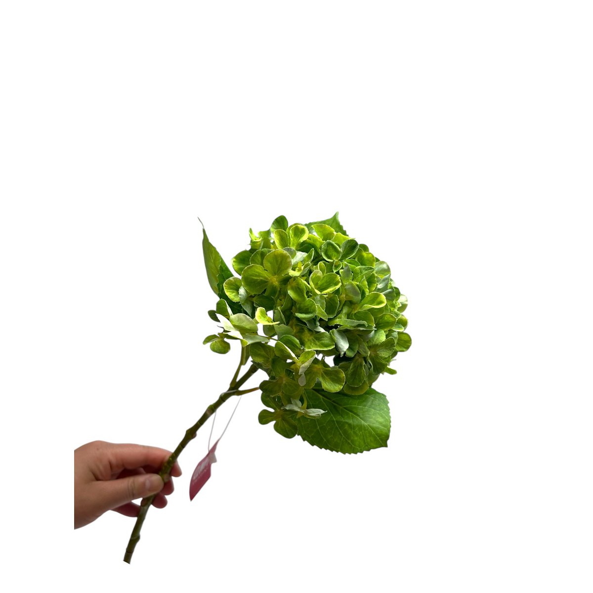 Zijden kunstbloem Hydrangea macrophylla groen - 50 cm