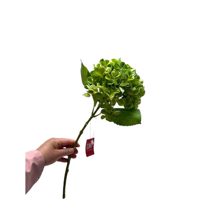Zijden kunstbloem Hydrangea macrophylla groen - 50 cm