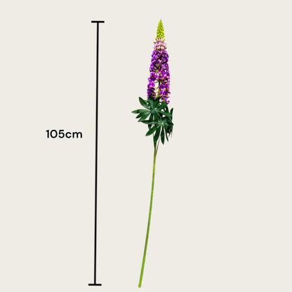 Zijden kunstbloem Lupinus micranthus paars - 105 cm