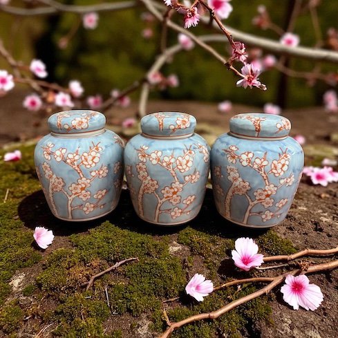 Porseleinen pot Handbeschilderd blauw/roze