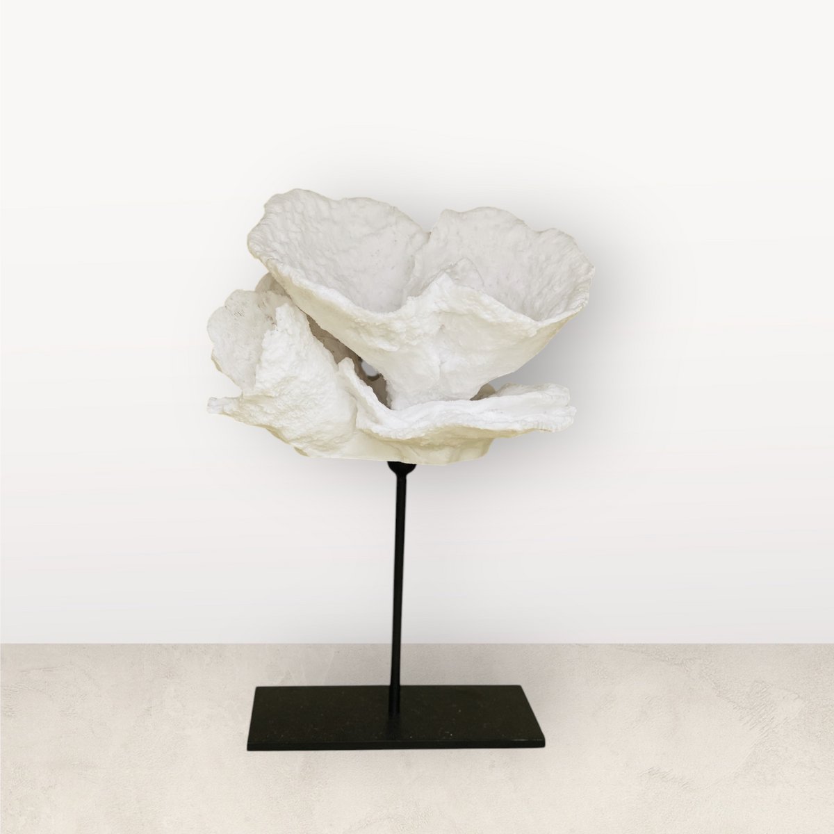 Koraal decoratie Koraal bloem wit