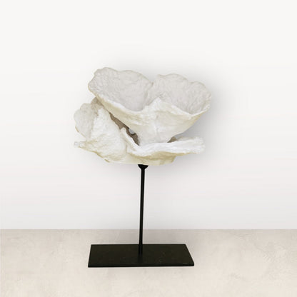 Koraal decoratie Koraal bloem wit