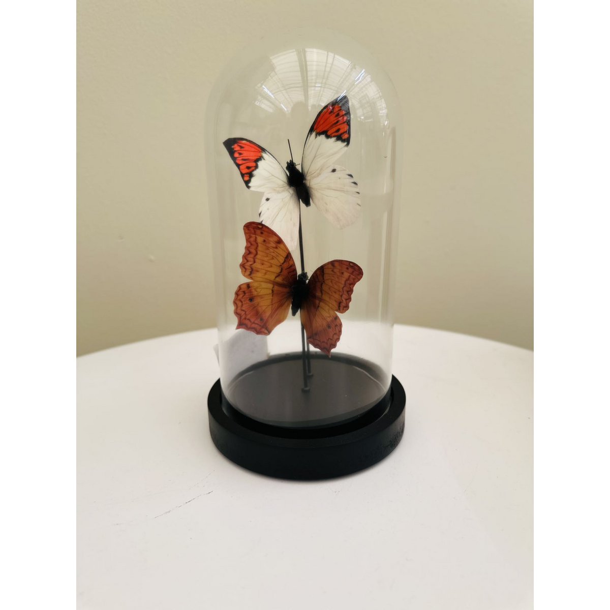 Glazen stolp Yf-08 oranje/wit - 11 x 21 cm