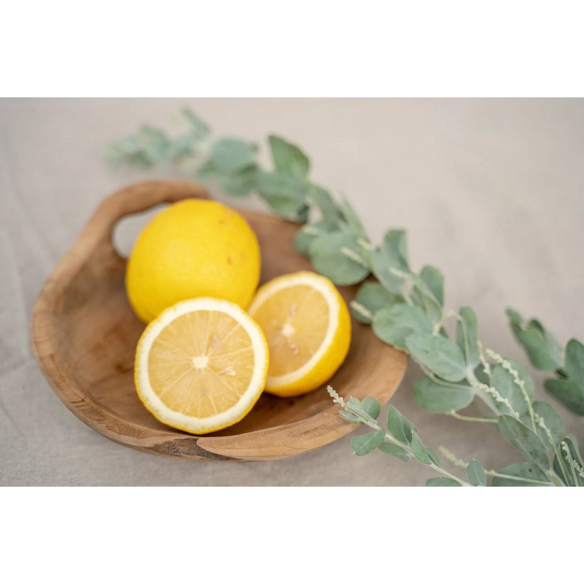 Teakhouten schaal The bowl tray naturel