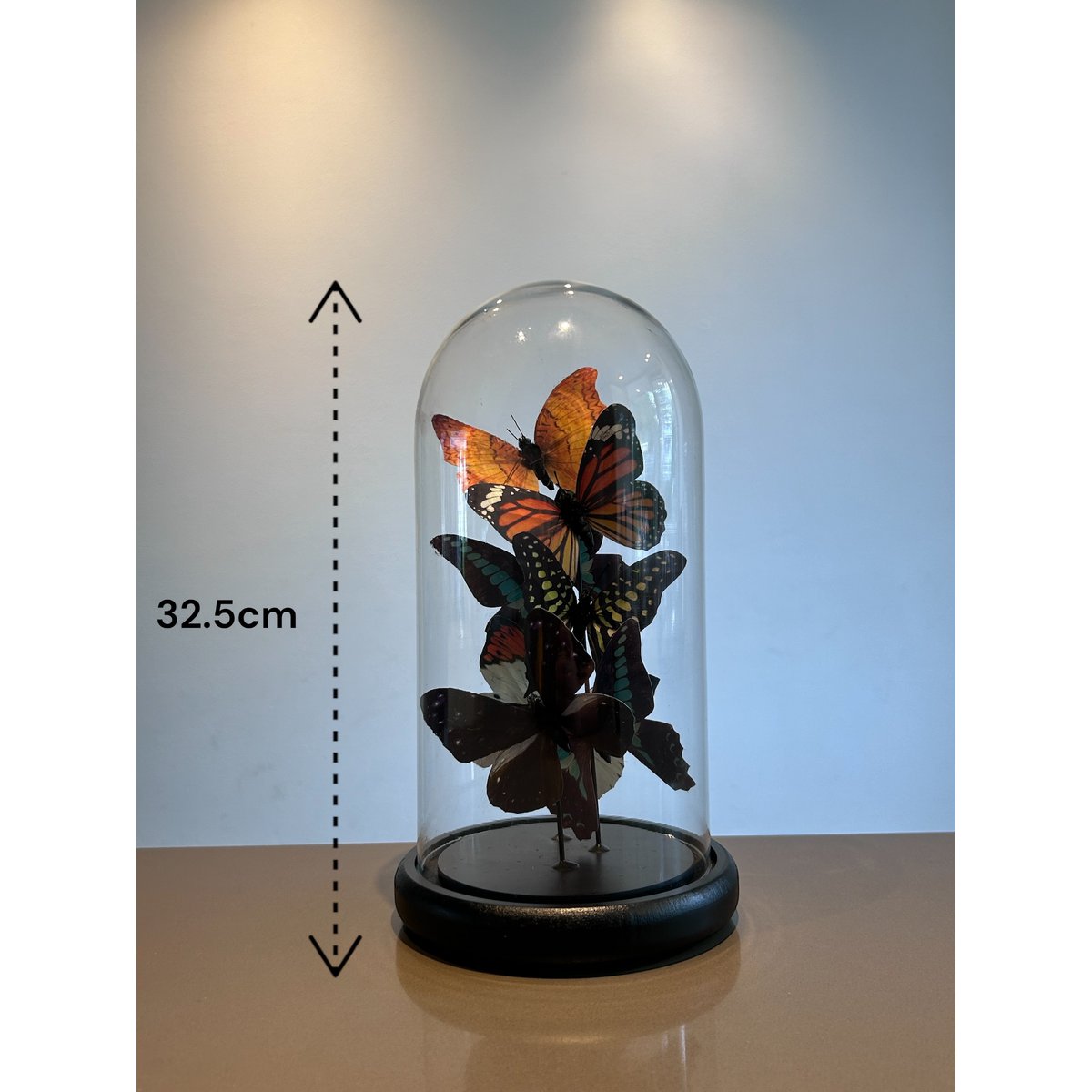 Glazen stolp Five vlinder veelkleurig - 32,5 cm