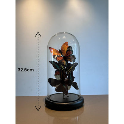 Glazen stolp Five vlinder veelkleurig - 32,5 cm