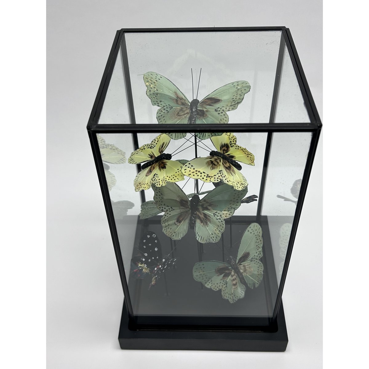 Glazen stolp Vlinder yf-01 groen - 19 x 19 x 31,5 cm