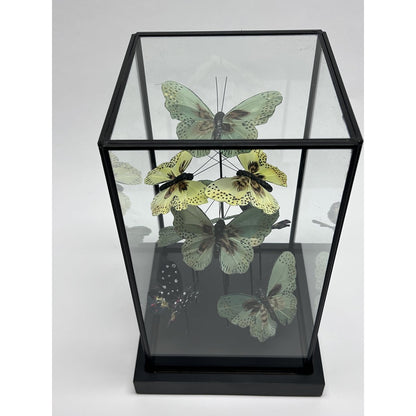 Glazen stolp Vlinder yf-01 groen - 19 x 19 x 31,5 cm