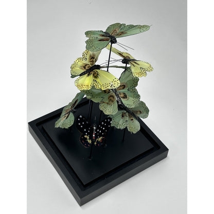 Glazen stolp Vlinder yf-01 groen - 19 x 19 x 31,5 cm