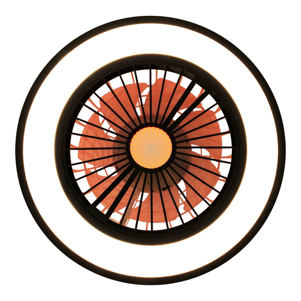 LED Plafondlamp + Ventilator Arrioso - Ø 54 cm