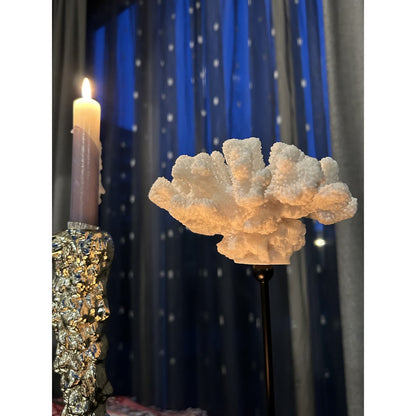 Koraaldecoratie L-collectie wit/zwart - 29 cm
