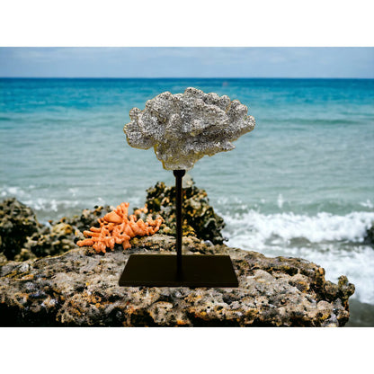 Koraaldecoratie Coral champagnekleur