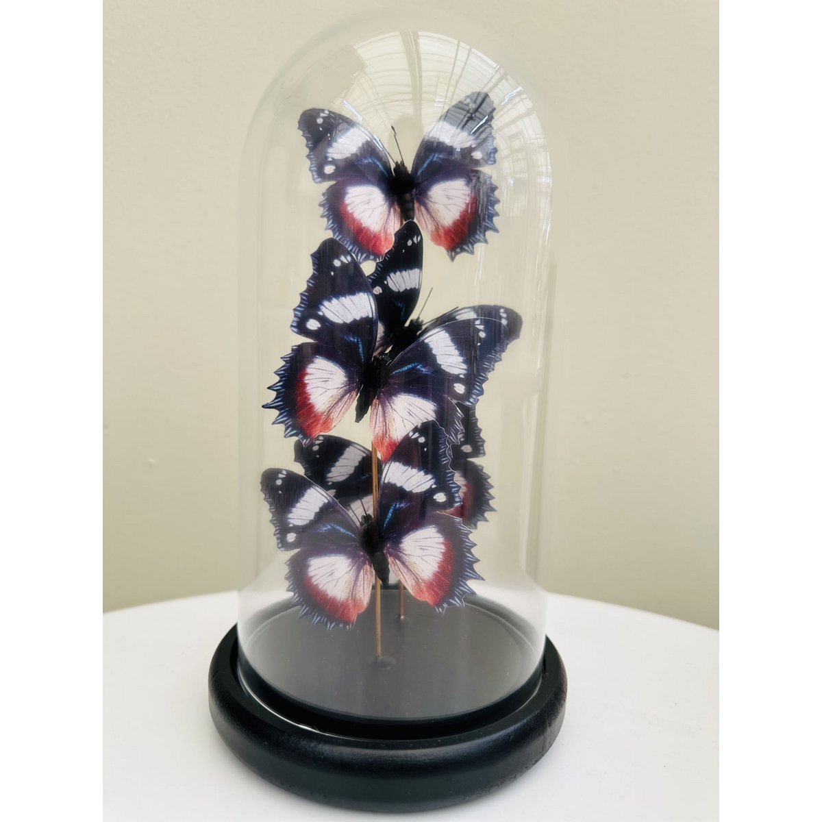 Glazen stolp YF-11 multicolor