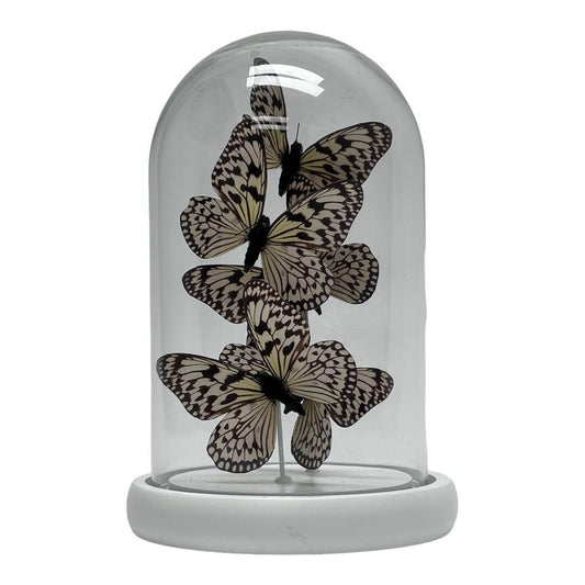 Glazen stolp YF-06 wit (set van 5)