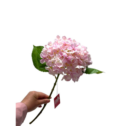 Zijden kunstbloem Hydrangea macrophylla lichtroze