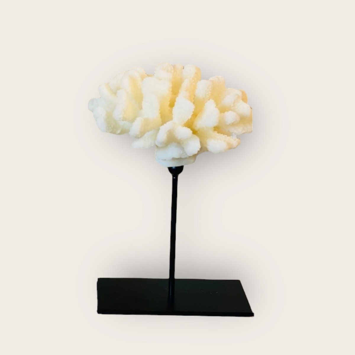 Metalen standaard koraaldecoratie wit - 25 cm