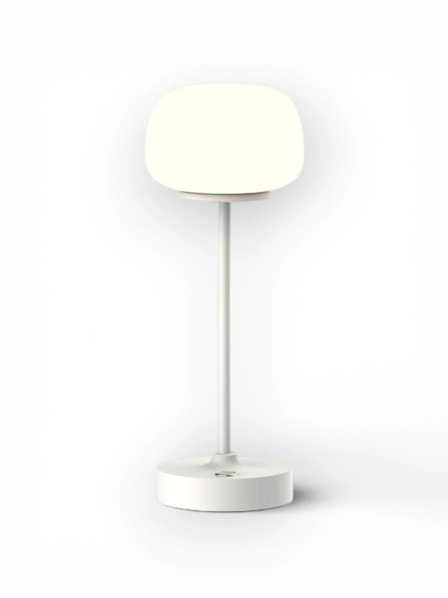 LED Acculamp Pina Wit/Wit Glas - 30 cm