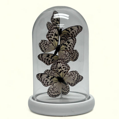 Glazen stolp YF-06 wit (set van 5)