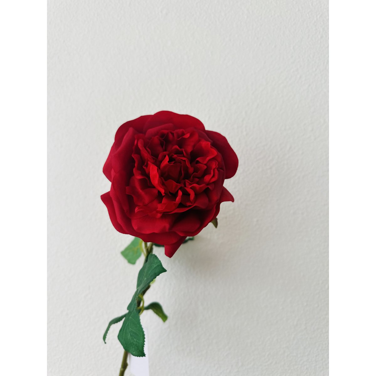 Zijden kunstbloem Hand touch rose rood - 65 cm