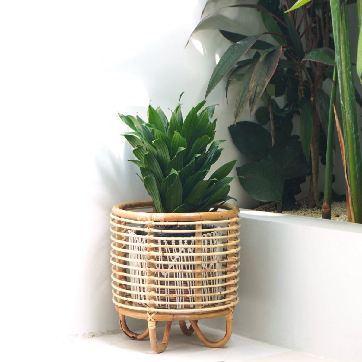Plantenstandaard Malang Rotan Beige