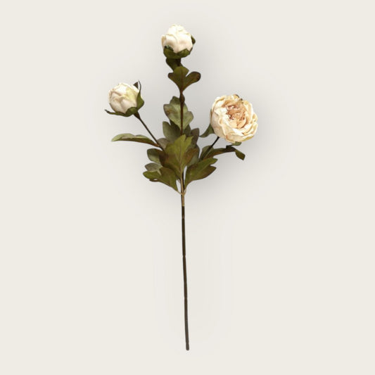 Zijden kunstbloem Herfstserie peony crème - 53 cm