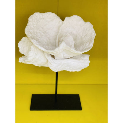 Koraal decoratie Koraal bloem wit
