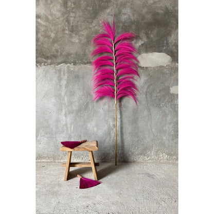 Suar kruk Suar-kruk natuurlijk - 50 cm