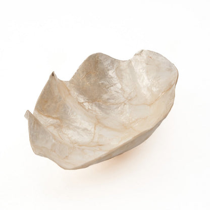 Parelmoer zeepbakje Parelmoer wit