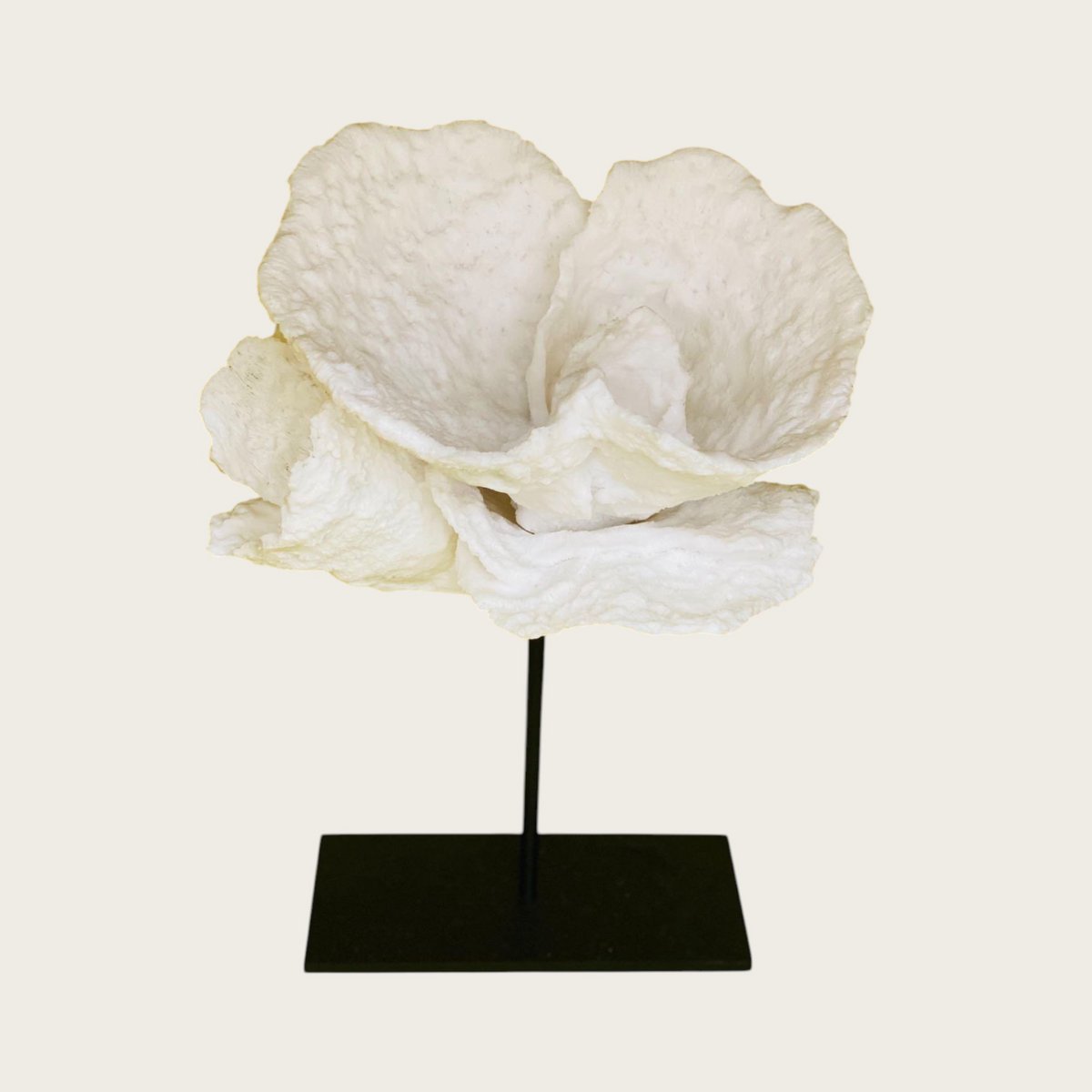 Koraal decoratie Koraal bloem wit
