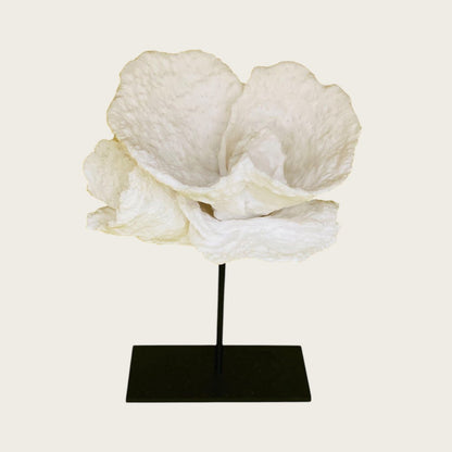 Koraal decoratie Koraal bloem wit