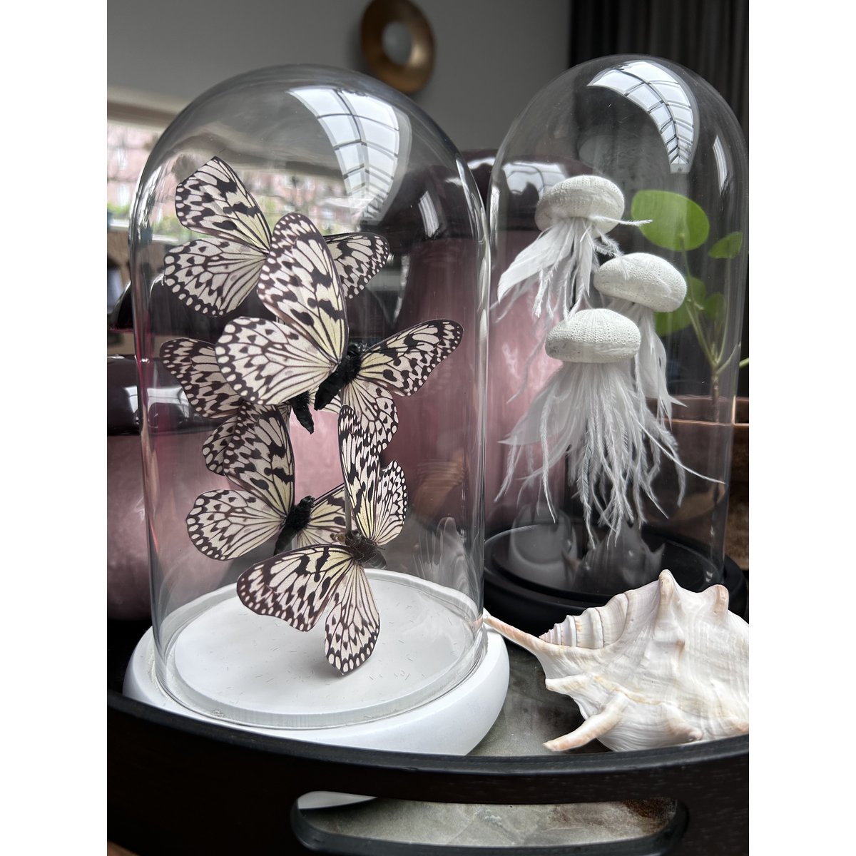 Glazen stolp YF-06 wit (set van 5)